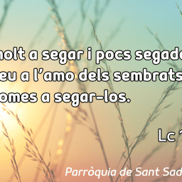 FRASE DEL DIUMENGE, PREGÀRIA I FULL DOMINICAL de Diumenge 6 de juliol de 2025