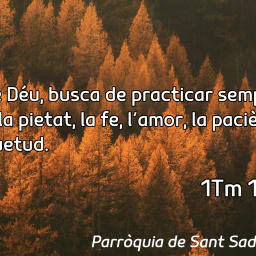 FRASE DEL DIUMENGE, PREGÀRIA I FULL DOMINICAL de Diumenge 28 de setembre de 2025