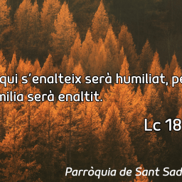 FRASE DEL DIUMENGE, PREGÀRIA I FULL DOMINICAL de Diumenge 26 d’Octubre de 2025