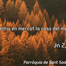 FRASE DEL DIUMENGE, PREGÀRIA I FULL DOMINICAL de Diumenge 9 de Novembre de 2025