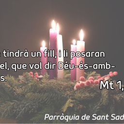 FRASE DEL DIUMENGE, PREGÀRIA I FULL DOMINICAL de Diumenge 21 de Desembre de 2025