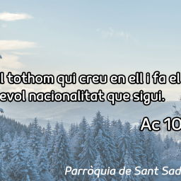 FRASE DEL DIUMENGE I PREGÀRIA de Diumenge 11 de Gener de 2026