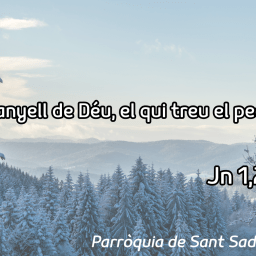 FRASE DEL DIUMENGE I PREGÀRIA de Diumenge 18 de Gener de 2026