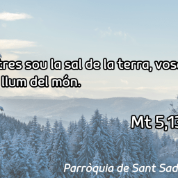 FRASE DEL DIUMENGE I PREGÀRIA de Diumenge 8 de Febrer de 2026