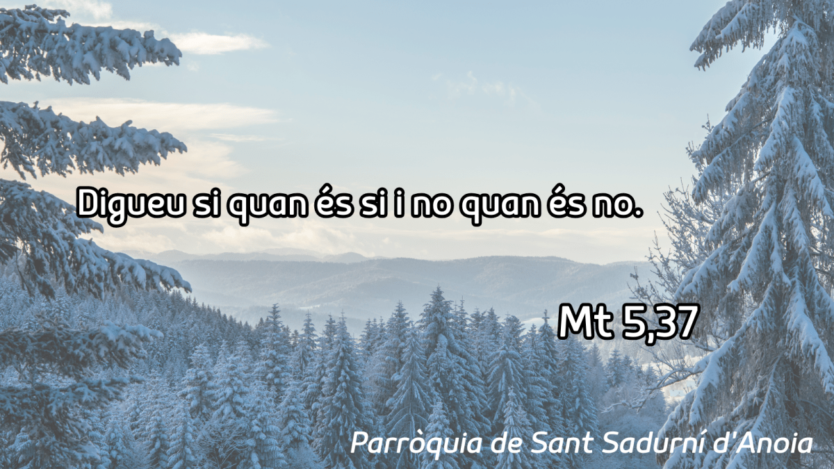 FRASE DEL DIUMENGE I PREGÀRIA de Diumenge 15 de Febrer de 2026
