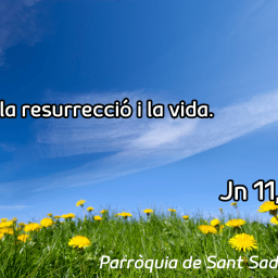 FRASE DEL DIUMENGE I PREGÀRIA de Diumenge 22 de Març de 2026