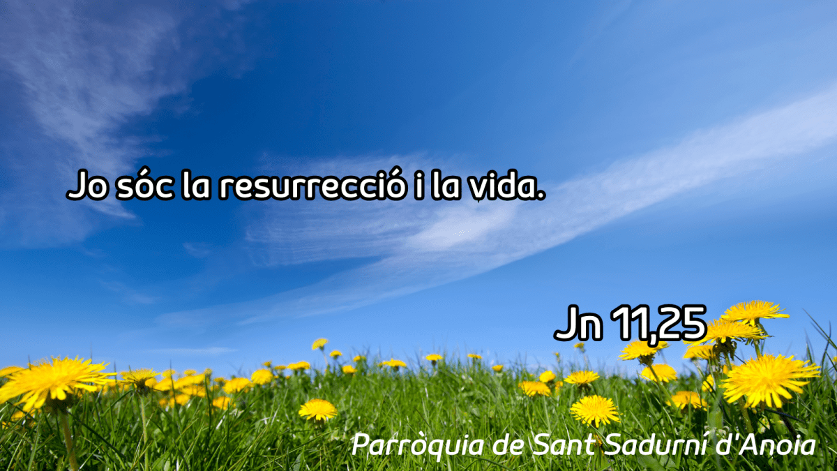 FRASE DEL DIUMENGE I PREGÀRIA de Diumenge 22 de Març de 2026