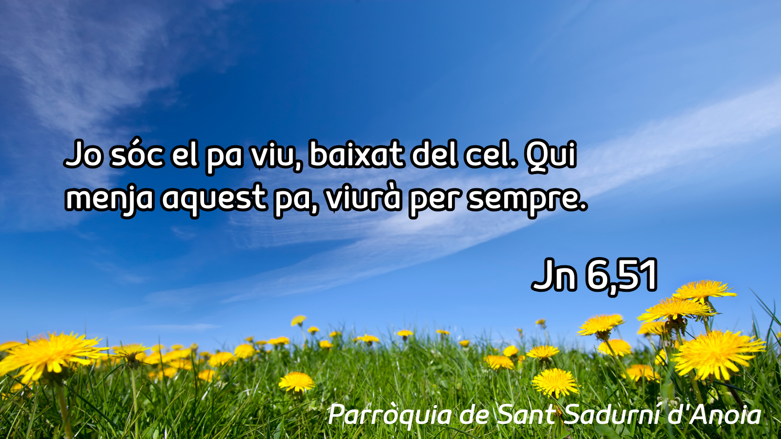 FRASE DEL DIUMENGE I PREGÀRIA de Diumenge 7 de juny de 2026