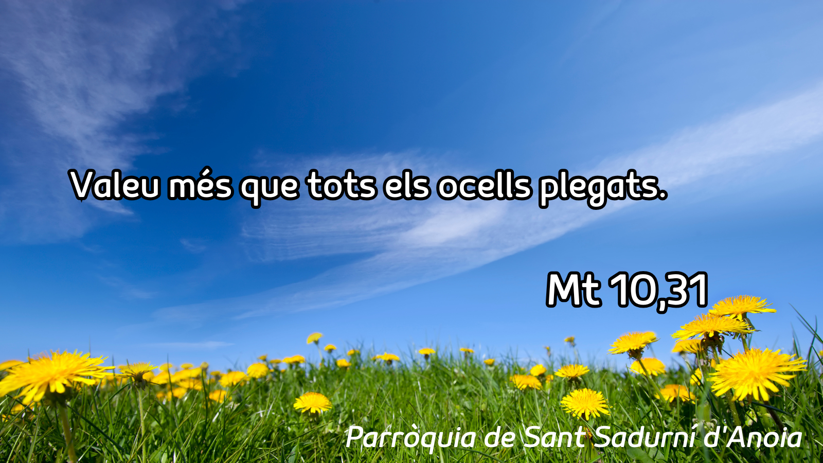 FRASE DEL DIUMENGE I PREGÀRIA de Diumenge 21 de juny de 2026